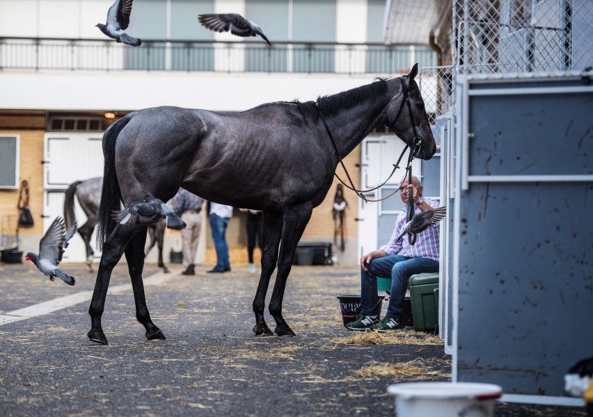 HIPPODROME DE LONGCHAMPS / RELAXNEWS / PARISWORLDWIDE