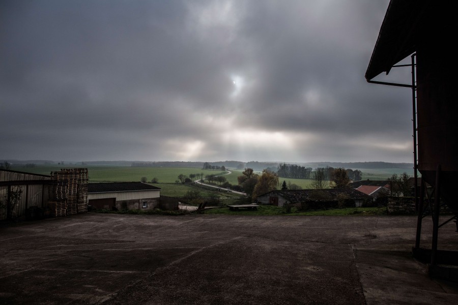 BENJAMIN KUENTZ / DISTILLERIE BAYON / LORRAINE