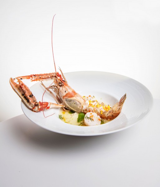 Sylvain Sandra / Plat