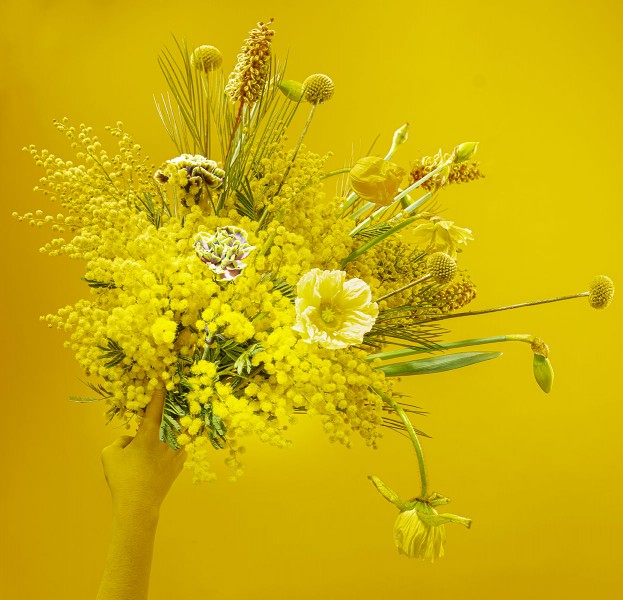 Les Jumeaux Fleuristes 