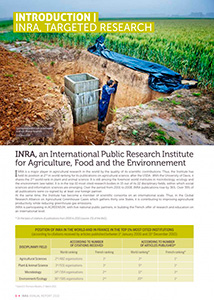Rapport annuel INRA